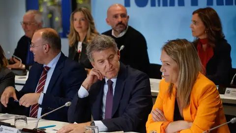 Alberto Núñez Feijóo junto Miguel Tellado y Alma Azcurra en el Comité Ejecutivo Nacional del PP Alberto Núñez Feijóo junto Miguel Tellado y Alma Azcurra en el Comité Ejecutivo Nacional del PP
