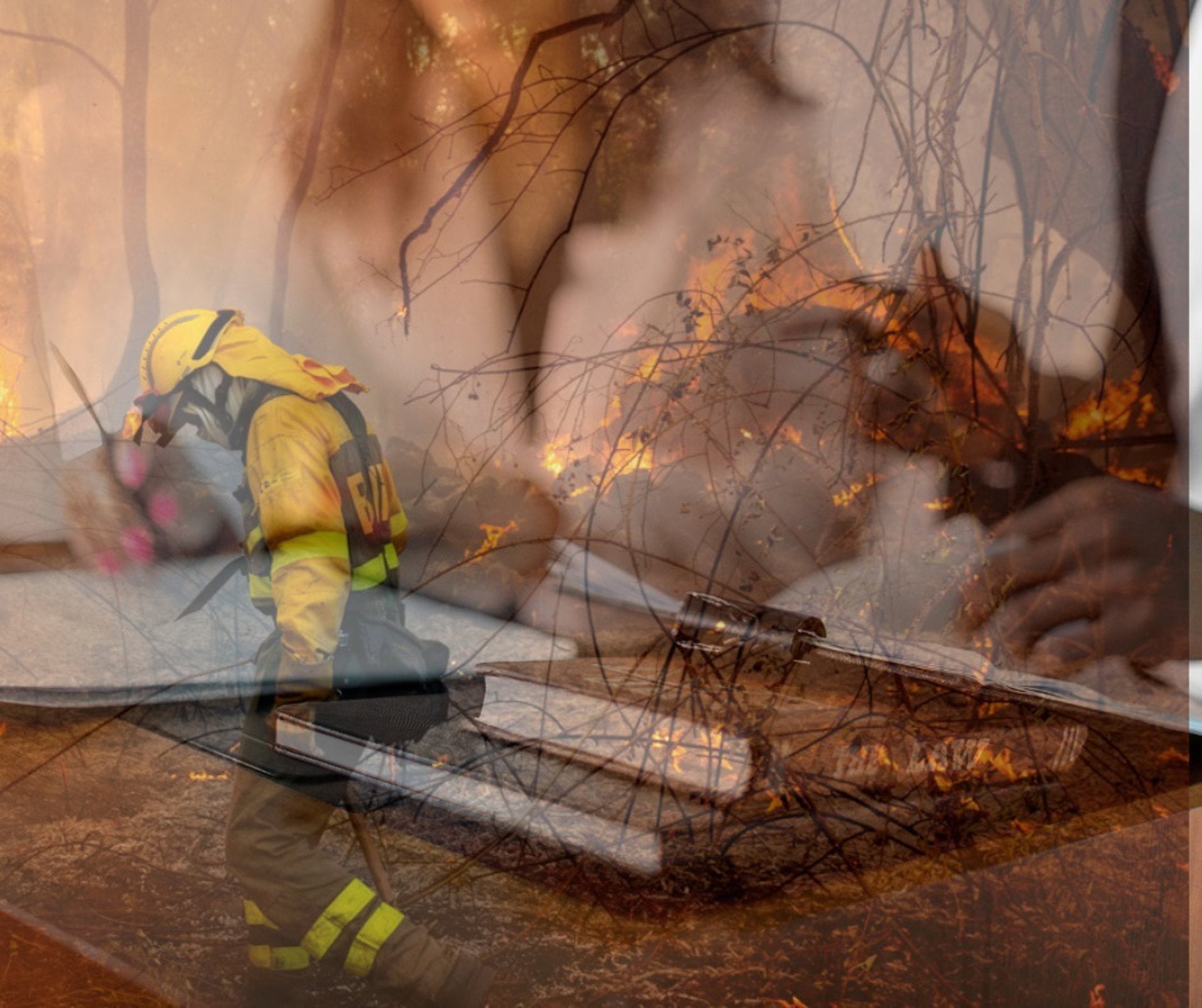 La Federación Extremeña de Caza plantea medidas y reformas en leyes para facilitar la lucha contra incendios forestales La Federación Extremeña de Caza plantea medidas y reformas en leyes para facilitar la lucha contra incendios forestales