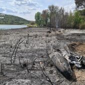 Paisaje tras un incendio forestal