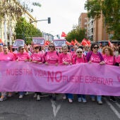 Miembros de AMAMA participan en la la manifestación por la Sanidad Pública celebrada este domingo en Sevilla