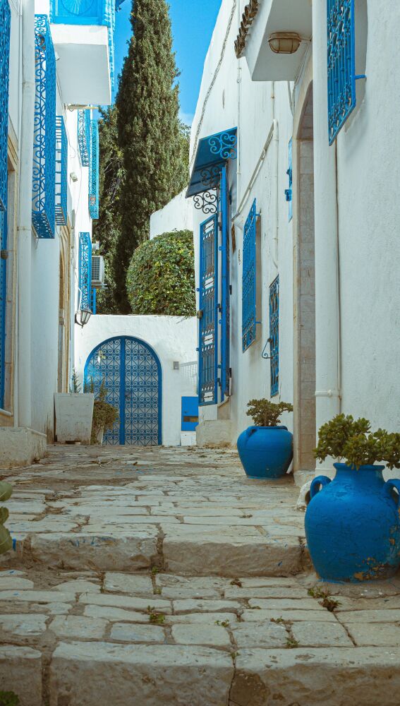 Callejones de Túnez