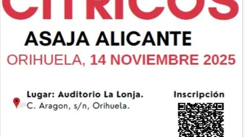 ASAJA Alicante celebra su IV Jornada de Cítricos en Orihuela para abordar los temas de actualidad del sector ASAJA Alicante celebra su IV Jornada de Cítricos en Orihuela para abordar los temas de actualidad del sector