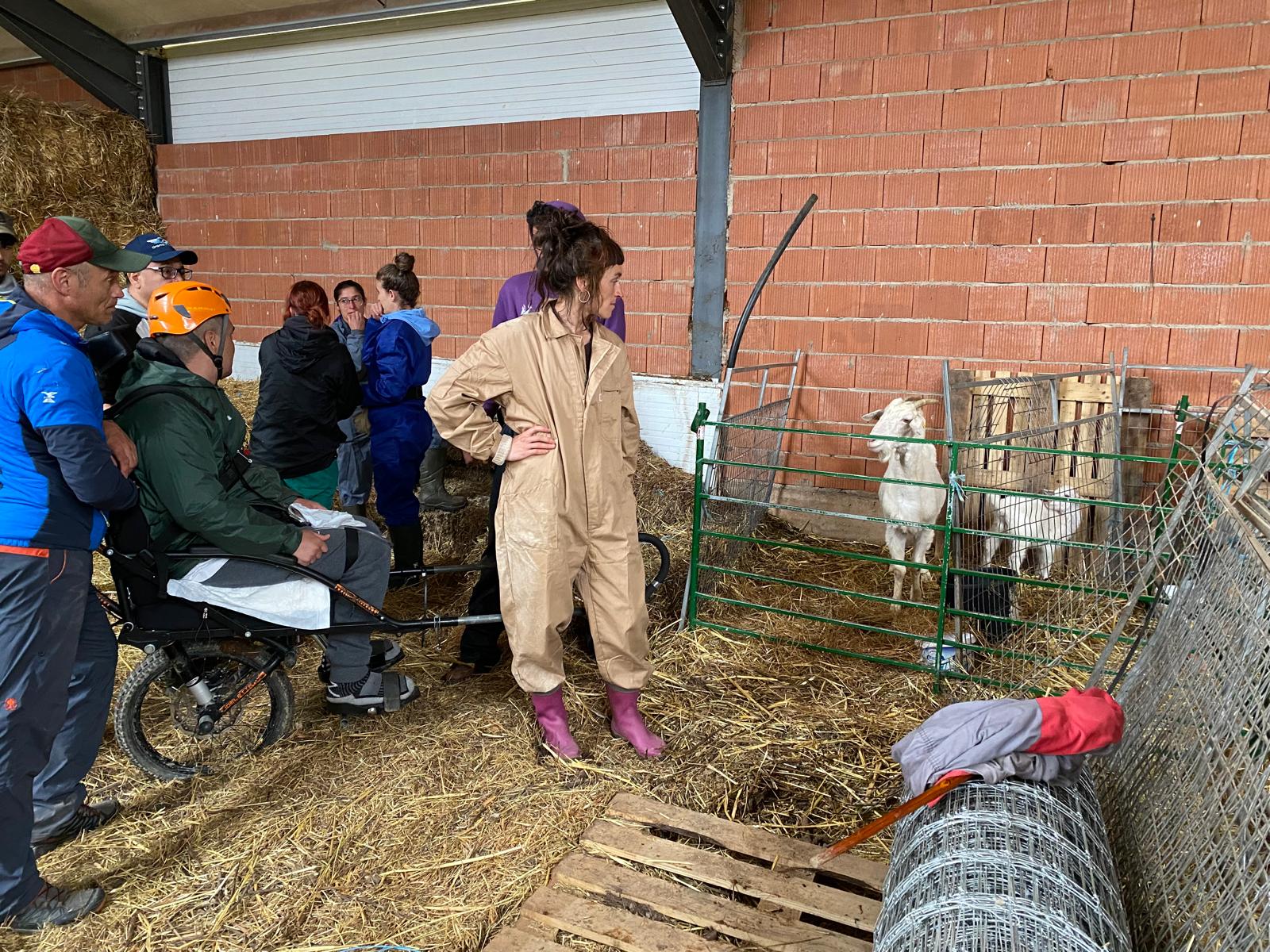 63 personas aprenden el oficio del pastoreo con Reactiva Brañosera 63 personas aprenden el oficio del pastoreo con Reactiva Brañosera