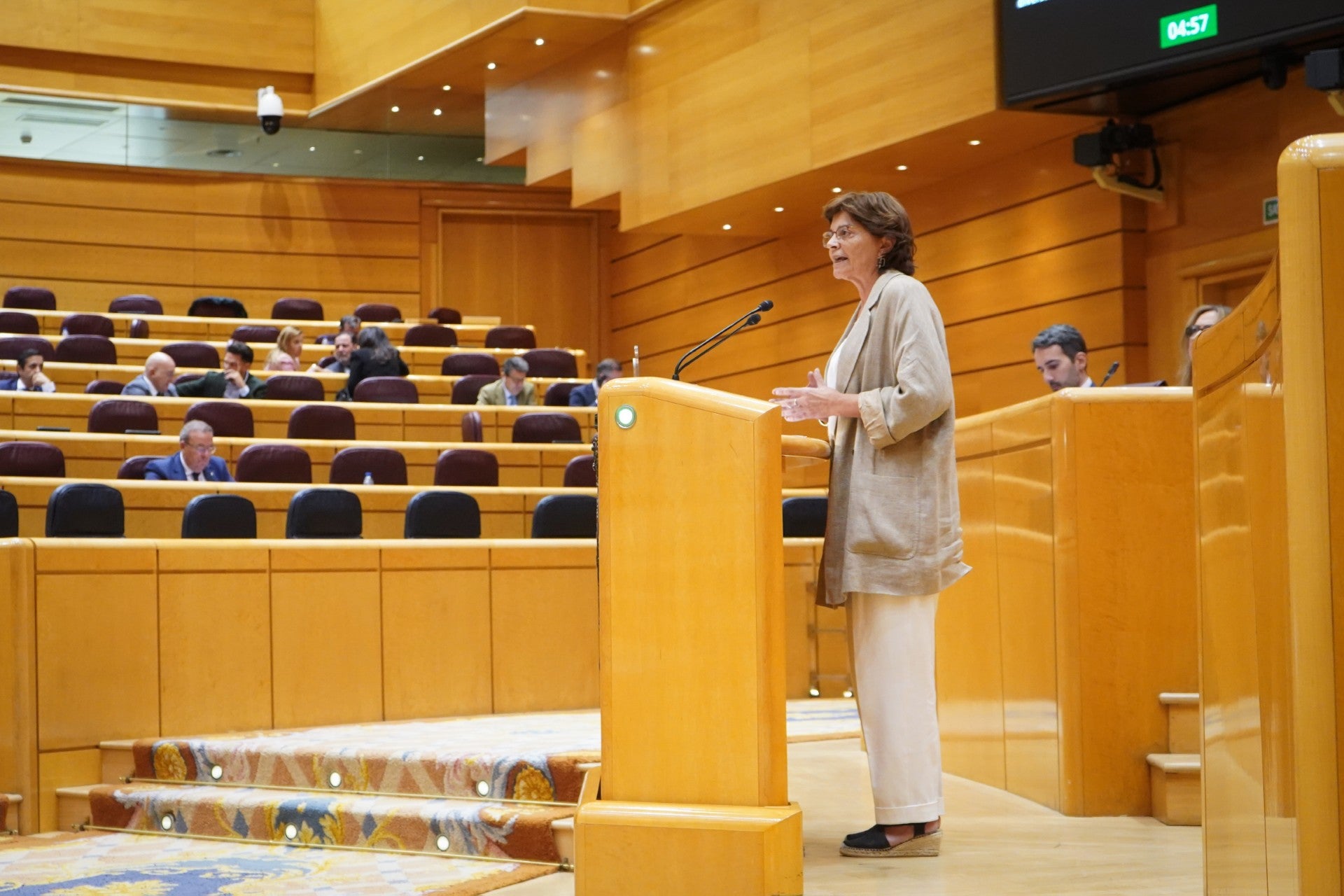 O BNG pide no Senado accións urxentes contra os arrastres de cinzas O BNG pide no Senado accións urxentes contra os arrastres de cinzas
