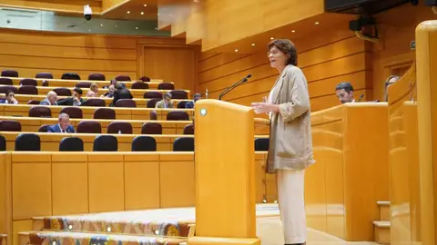 O BNG pide no Senado accións urxentes contra os arrastres de cinzas O BNG pide no Senado accións urxentes contra os arrastres de cinzas