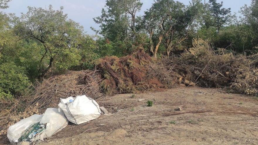 Investimentos no xeodestiño Ribeiro Carballiño Investimentos no xeodestiño Ribeiro Carballiño