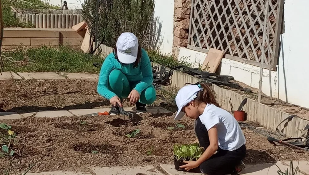 Imagen de archivo de los talleres de agricultura del Consell de Formentera Imagen de archivo de los talleres de agricultura del Consell de Formentera