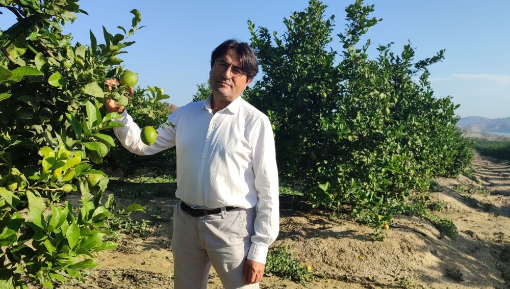 José Vicente Andreu, presidente ASAJA Alicante