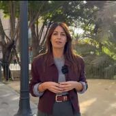 Irene Ruiz, concejala de Cultura en el Ayuntamiento de Elche.