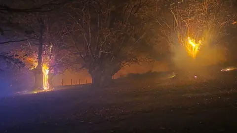 El incendio en Liébana ha afectado en principio a tres castaños milenarios de Pendes El incendio en Liébana ha afectado en principio a tres castaños milenarios de Pendes