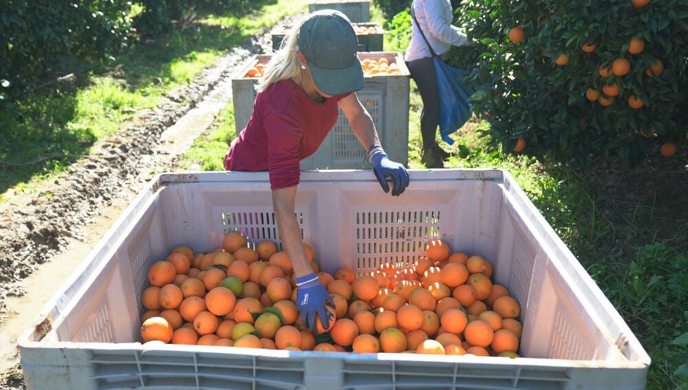 Naranja Nacional