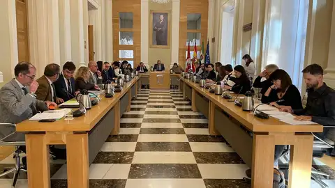 Pleno Ayuntamiento de Cáceres Pleno Ayuntamiento de Cáceres
