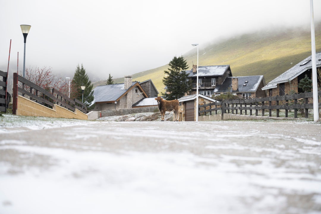 Las provincias españolas en las que nevará durante este fin de semana Las provincias españolas en las que nevará durante este fin de semana