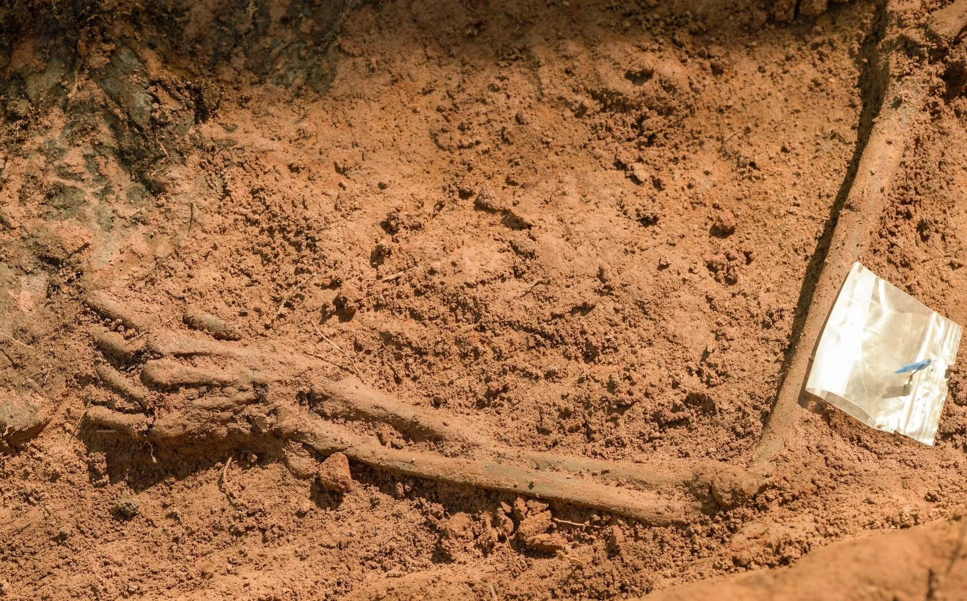 50 años del fin del franquismo en la Comunitat Valenciana: "Hay que conocer la verdad" 50 años del fin del franquismo en la Comunitat Valenciana: "Hay que conocer la verdad"