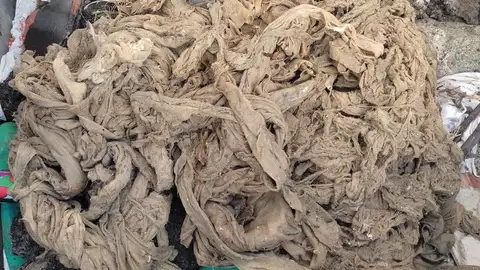 Residuos extraídos de una estación depuradora Residuos extraídos de una estación depuradora