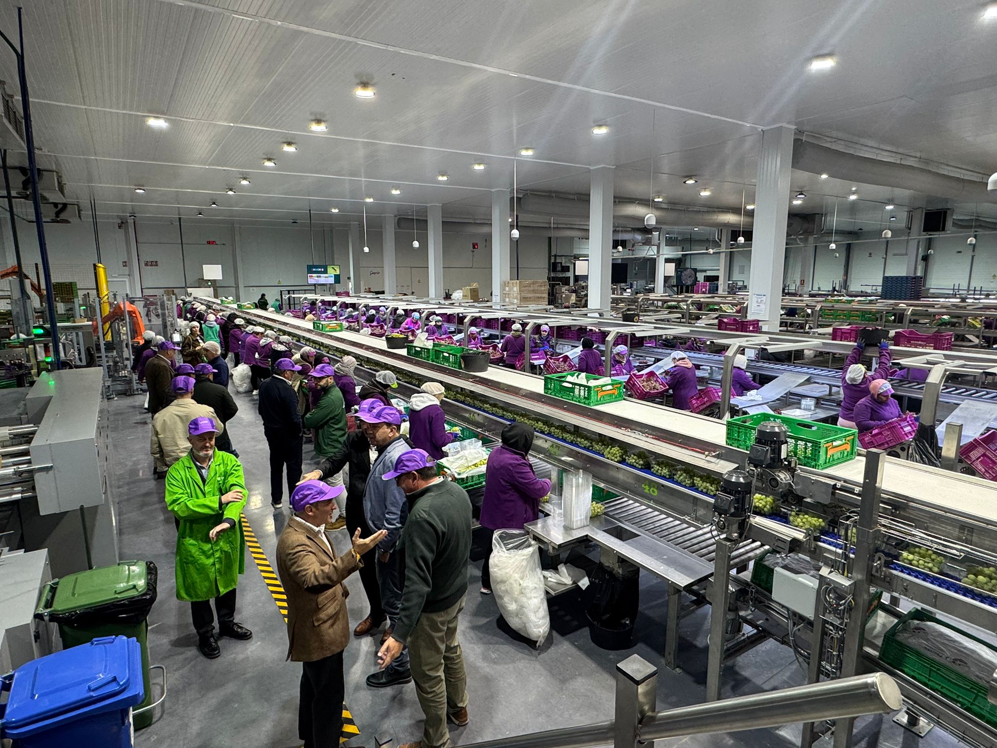 Agricultura valora 28 solicitudes de ayudas de jóvenes agricultores de la comarca del Medio Vinalopó Agricultura valora 28 solicitudes de ayudas de jóvenes agricultores de la comarca del Medio Vinalopó