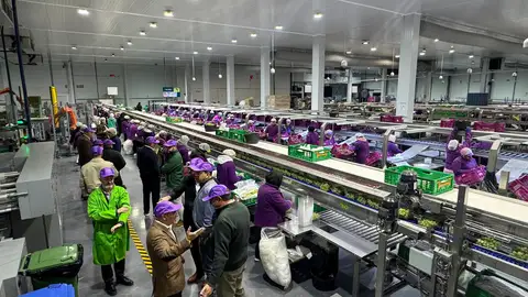 Visita del conseller de Agricultura a la fábrica de 'Uvasdoce' de Monforte del Cid. Visita del conseller de Agricultura a la fábrica de 'Uvasdoce' de Monforte del Cid.