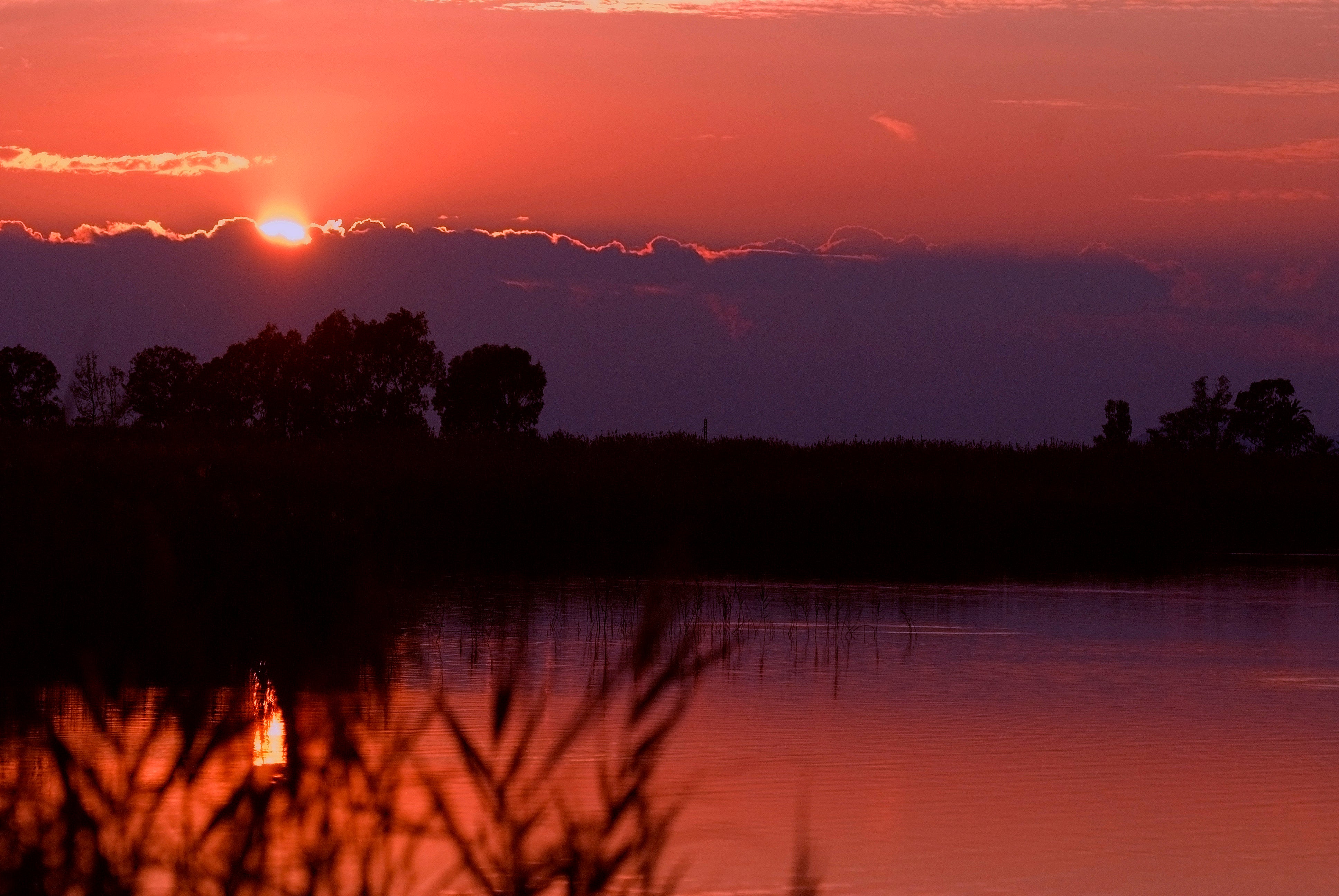 AHSA alega contra la petición del restablecimiento de la caza nocturna en los humedales de la provincia AHSA alega contra la petición del restablecimiento de la caza nocturna en los humedales de la provincia