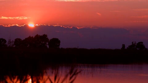 Atardecer en el Parque Natural El Hondo Crevillent-Elche.