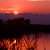 Atardecer en el Parque Natural El Hondo Crevillent-Elche.