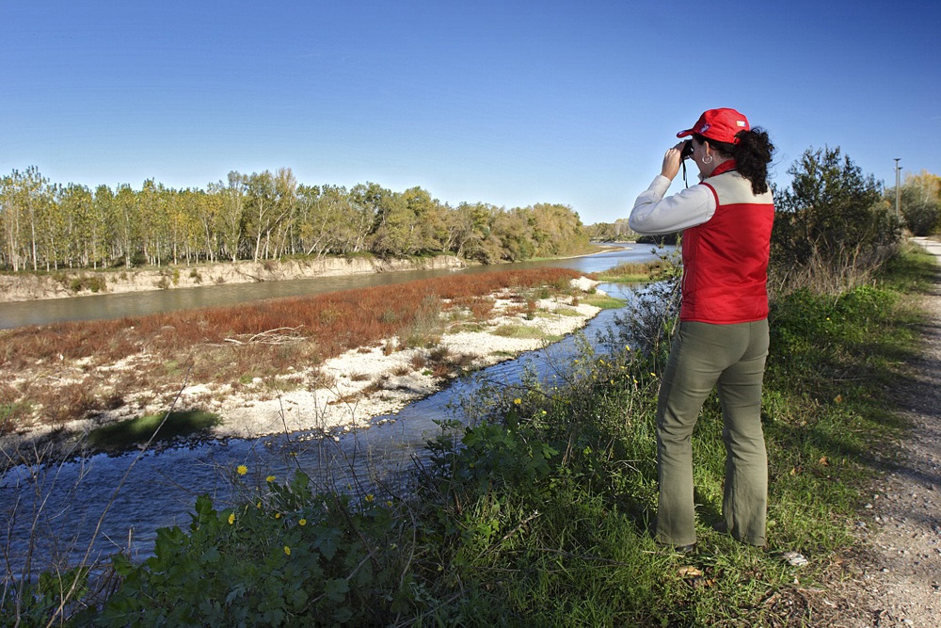 El Gobierno de La Rioja confirma el primer positivo en gripe aviar en los Sotos de Alfaro El Gobierno de La Rioja confirma el primer positivo en gripe aviar en los Sotos de Alfaro
