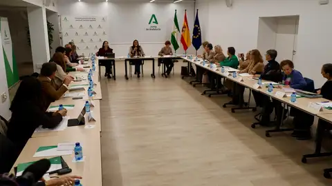 La Junta lanza un proyecto piloto antihackeo para las mujeres que sufren ciberviolencia de género Violencia