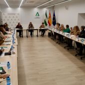 La Junta lanza un proyecto piloto antihackeo para las mujeres que sufren ciberviolencia de género