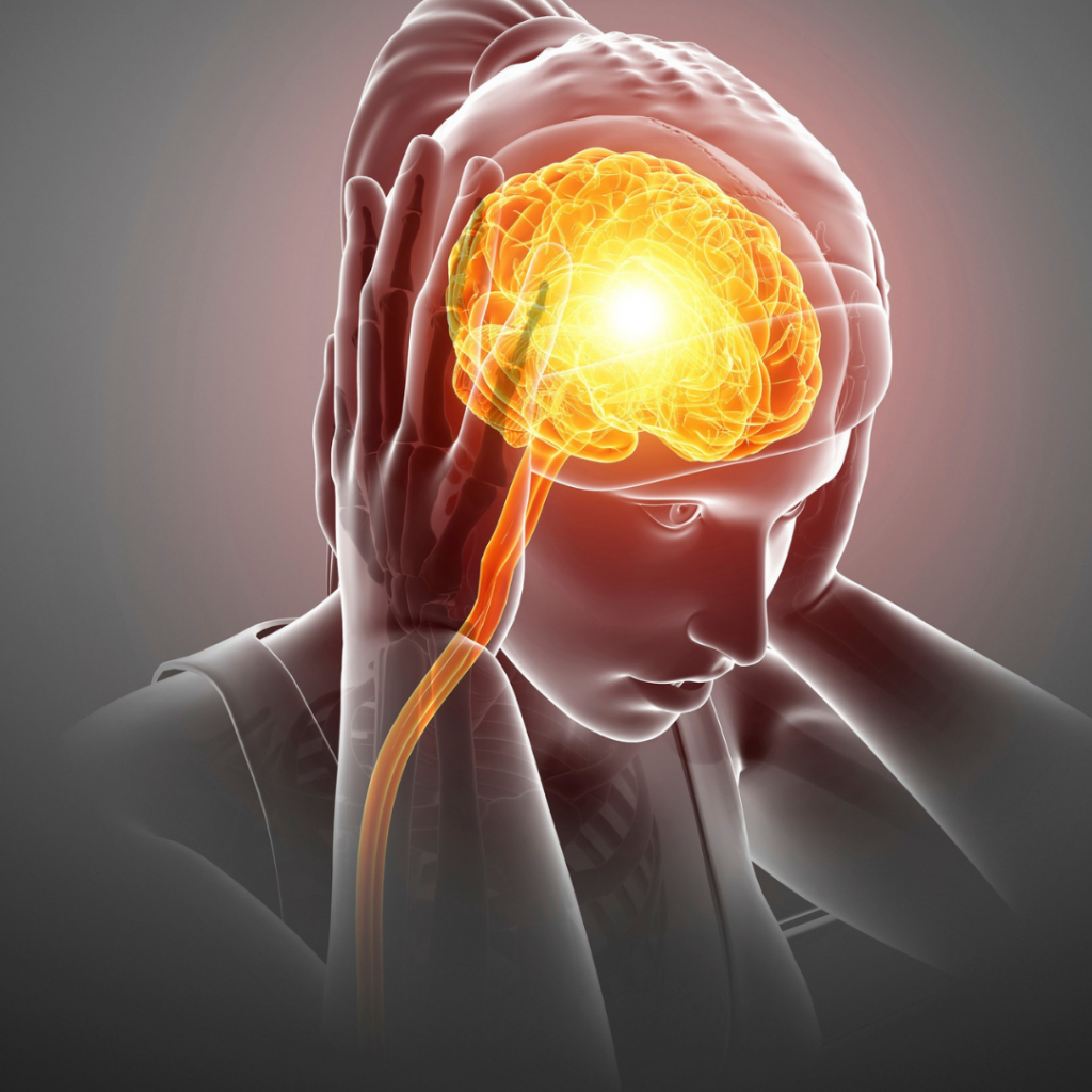 Anchoas de Conservas Emilia Anchoas de Conservas Emilia