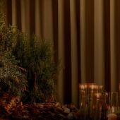 The Season of Light”, la propuesta de Higuerón Resort para celebrar las fiestas navideñas