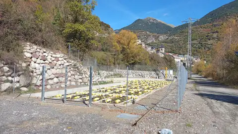 San Juan de Plan estrenará fitodepuradora la primavera de 2026 San Juan de Plan estrenará fitodepuradora la primavera de 2026