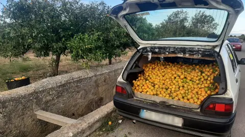La Policía de Burriana evita el robo de 150 kilos de mandarinas por la colaboración ciudadana La Policía de Burriana evita el robo de 150 kilos de mandarinas por la colaboración ciudadana