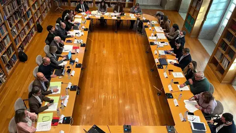 El Pleno municipal de Santiago aprueba por unanimidad restablecer la normalidad del servicio de bomberos y policías El Pleno municipal de Santiago aprueba por unanimidad restablecer la normalidad del servicio de bomberos y policías