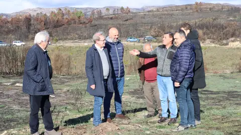 Manuel Pardo supervisa as actuacións desenvolvidas para paliar as consecuencias da vaga de lumes Manuel Pardo supervisa as actuacións desenvolvidas para paliar as consecuencias da vaga de lumes