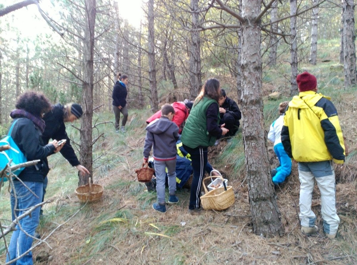 Las jornadas micológicas apuran el otoño Las jornadas micológicas apuran el otoño