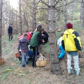 Jornadas micológicas en Cinco Villas Jornadas micológicas en Cinco Villas