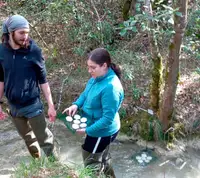 Rios vivos Rios vivos