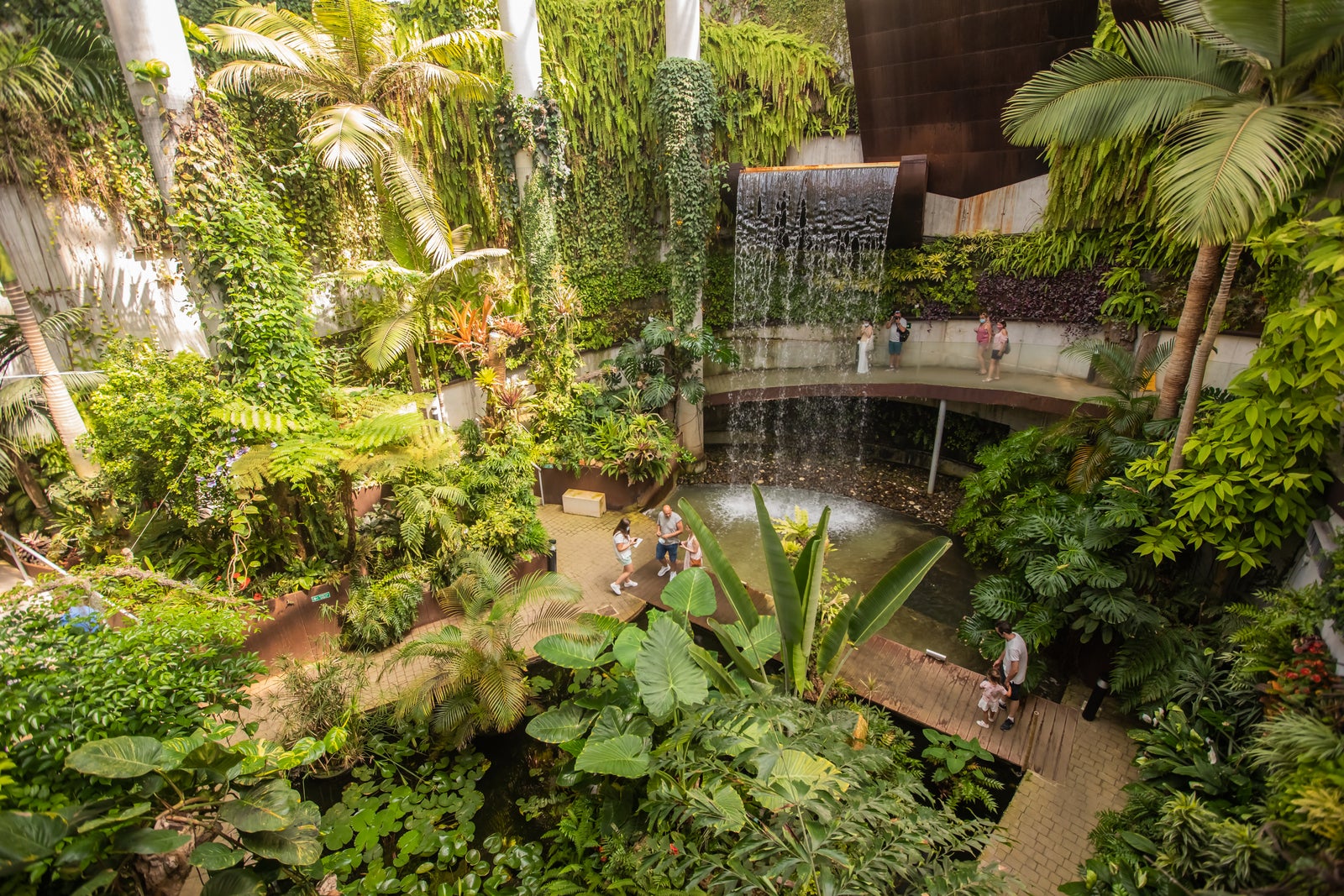 El Parque Botánico Orquidario cumple diez años con más de medio millón de visitas desde su apertura El Parque Botánico Orquidario cumple diez años con más de medio millón de visitas desde su apertura
