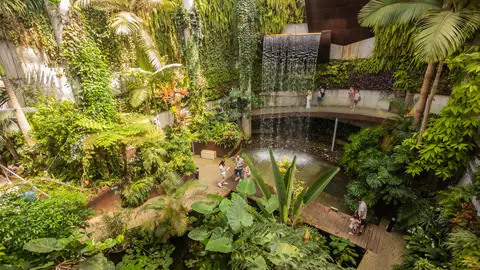 El Parque Botánico Orquidario cumple diez años con más de medio millón de visitas desde su apertura Aniversario