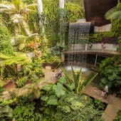 El Parque Botánico Orquidario cumple diez años con más de medio millón de visitas desde su apertura