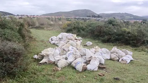 Aparece un vertido de más de 100 sacos de escombro en Sámano Aparece un vertido de más de 100 sacos de escombro en Sámano