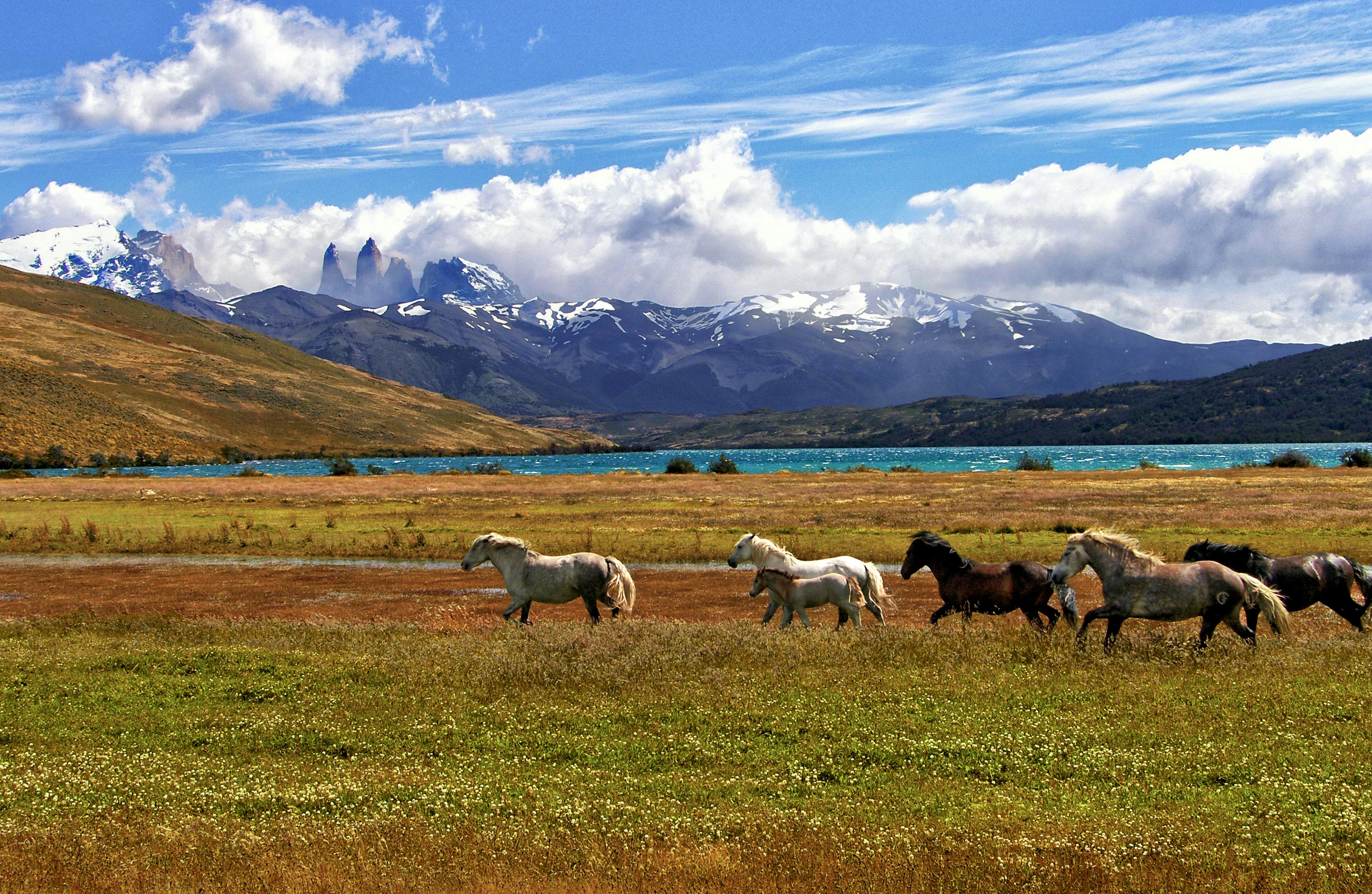 Viaje a la Patagonia chilena: guanacos, glaciares y rutas ecuestres en Torres del Paine Viaje a la Patagonia chilena: guanacos, glaciares y rutas ecuestres en Torres del Paine