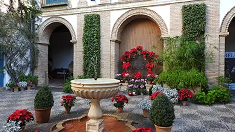 Navidad en el Palacio de Viana Navidad en el Palacio de Viana