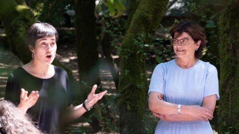 O BNG pide medidas para evitar a expansi&oacute;n da Peste Porcina