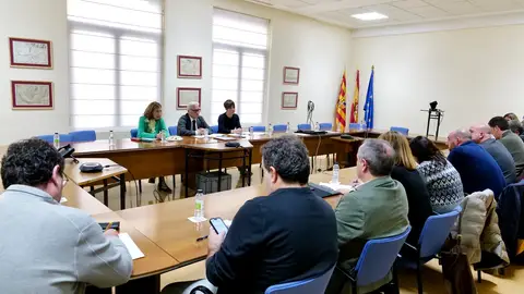 Aragón refuerza los equipos veterinarios ante la peste porcina El consejero, Javier Rincón, se ha reunido con las organizaciones agrarias