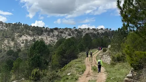 Castellón.- Diputación invierte 230.000 euros en la adecuación de los senderos públicos homologados Imagen de un sendero REMITIDA / HANDOUT por DIPUTACIÓN DE CASTELLÓN Fotografía remitida a medios de comunicación exclusivamente para ilustrar la noticia a la que hace referencia la imagen, y citando la procedencia de la imagen en la firma 28/11/2025