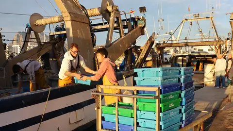 La Cofradía de Pescadores de Villajoyosa denuncia el “duro golpe” del recorte de días de pesca previsto para 2026 La Cofradía de Pescadores de Villajoyosa denuncia el “duro golpe” del recorte de días de pesca previsto para 2026