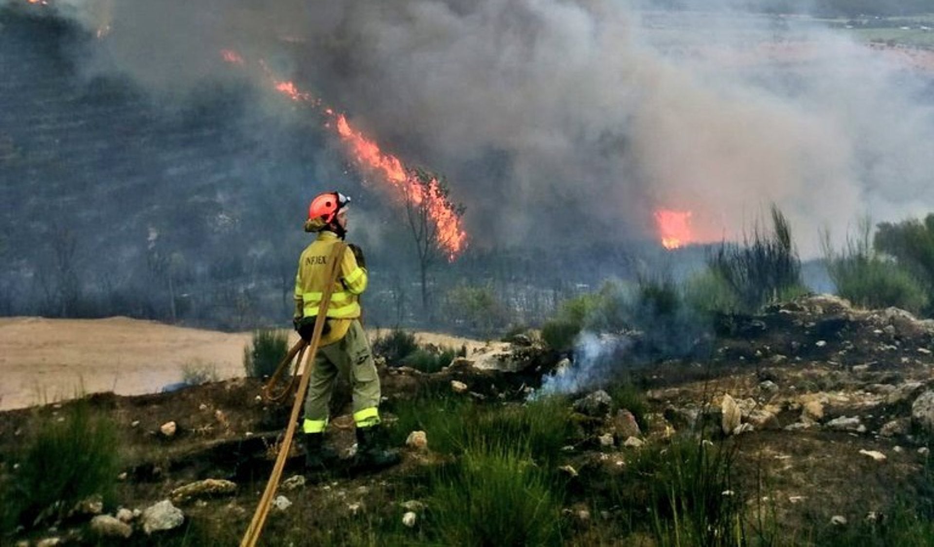 La Junta crea las 138 plazas de bombero forestal durante todo el año que se cubrirán a mediados de enero La Junta crea las 138 plazas de bombero forestal durante todo el año que se cubrirán a mediados de enero