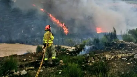 La Junta crea las 138 plazas de bombero forestal durante todo el año que se cubrirán a mediados de enero La Junta crea las 138 plazas de bombero forestal durante todo el año que se cubrirán a mediados de enero