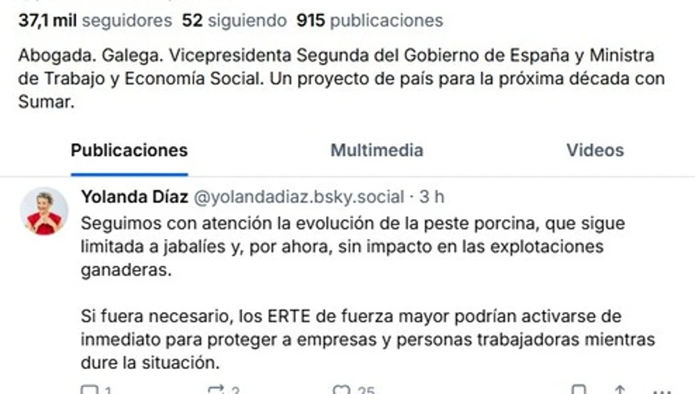 Captura de pantalla de la publicación de Yolanda Díaz en Bluesky Captura de pantalla de la publicación de Yolanda Díaz en Bluesky