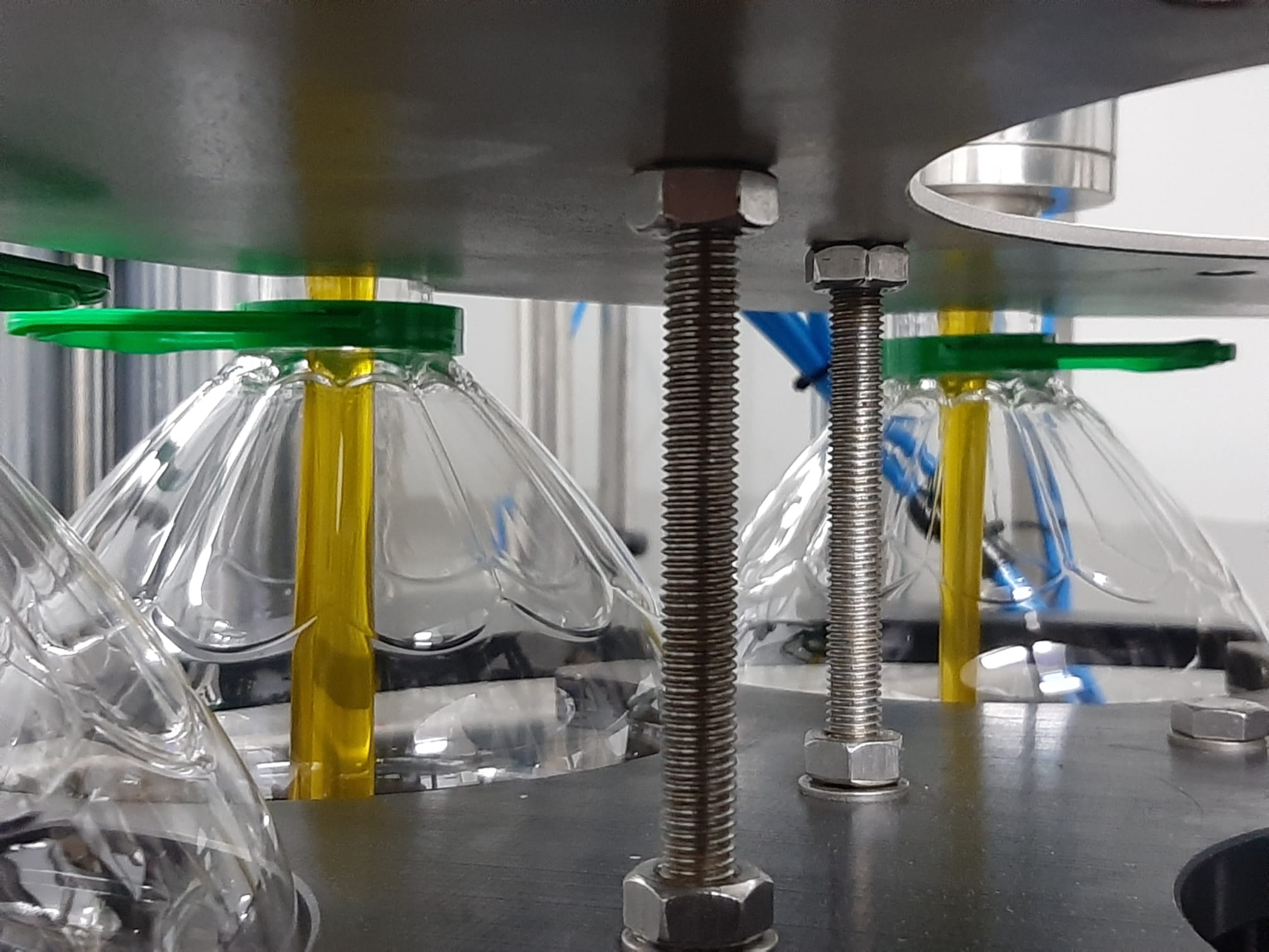 Viver cierra la campaña de aceite con más de 124.000 litros y recupera todas sus gamas de AOVE Viver cierra la campaña de aceite con más de 124.000 litros y recupera todas sus gamas de AOVE